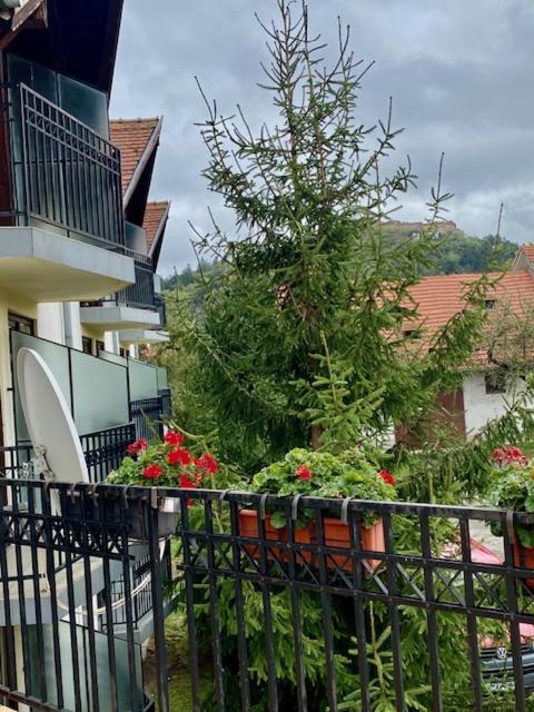 Pensiunea Casa Saxonia Râşnov Exterior photo